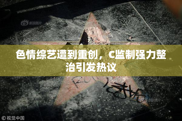 色情综艺遭到重创，C监制强力整治引发热议