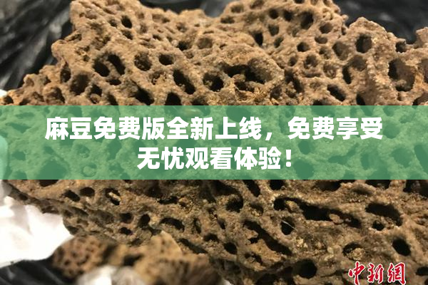 麻豆免费版全新上线，免费享受无忧观看体验！