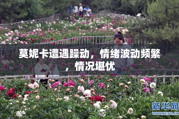 莫妮卡遭遇躁动，情绪波动频繁，情况堪忧