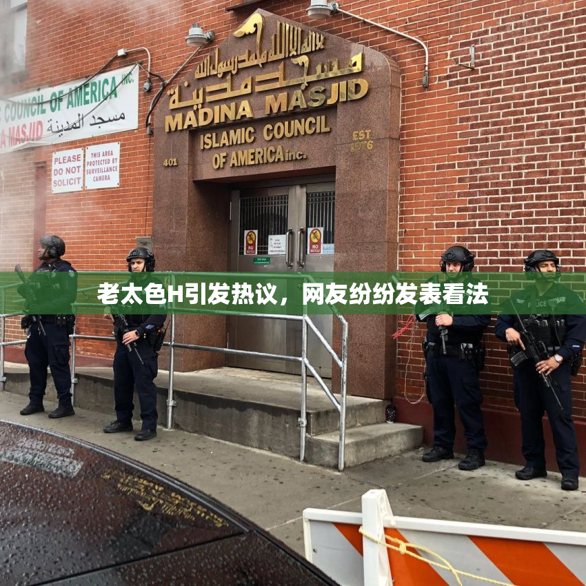 老太色H引发热议，网友纷纷发表看法