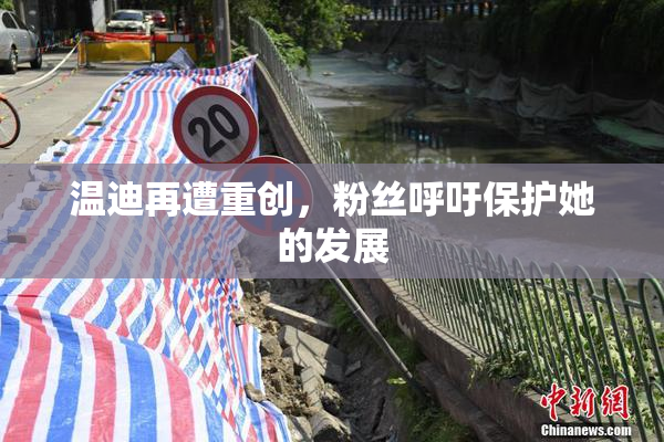 温迪再遭重创，粉丝呼吁保护她的发展