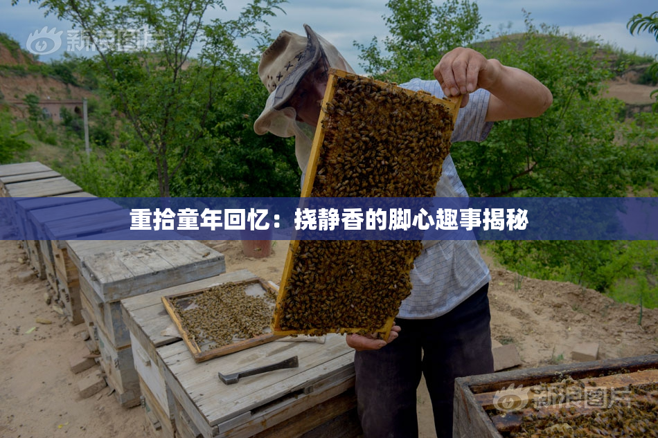 重拾童年回忆：挠静香的脚心趣事揭秘