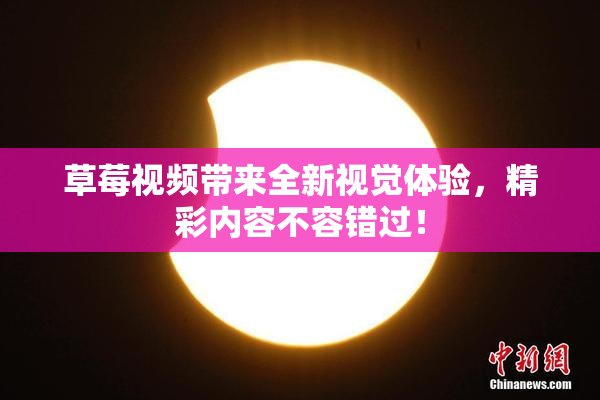 草莓视频带来全新视觉体验，精彩内容不容错过！