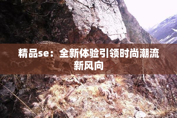精品se：全新体验引领时尚潮流新风向