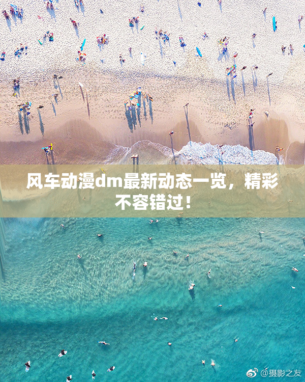 风车动漫dm最新动态一览，精彩不容错过！