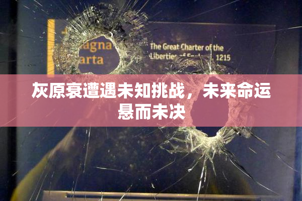 灰原衰遭遇未知挑战，未来命运悬而未决