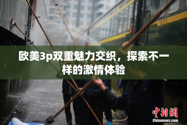 欧美3p双重魅力交织，探索不一样的激情体验