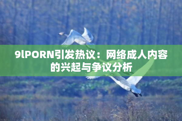 9lPORN引发热议：网络成人内容的兴起与争议分析