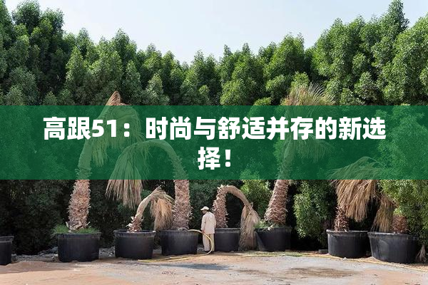 高跟51：时尚与舒适并存的新选择！