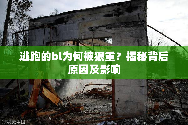 逃跑的bl为何被狠重？揭秘背后原因及影响