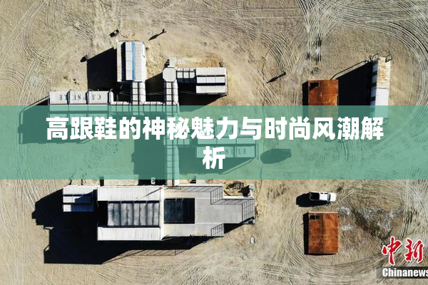 高跟鞋的神秘魅力与时尚风潮解析
