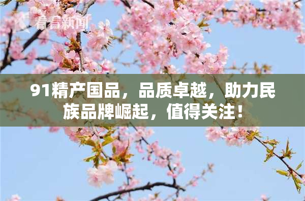 91精产国品，品质卓越，助力民族品牌崛起，值得关注！