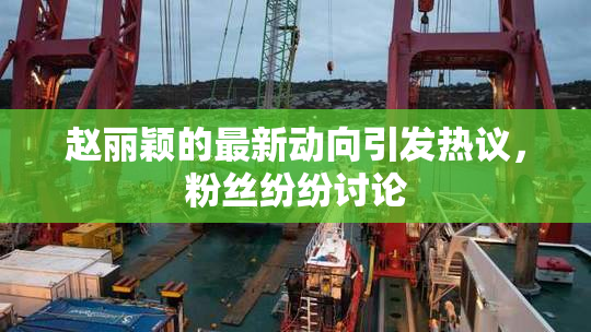 赵丽颖的最新动向引发热议，粉丝纷纷讨论