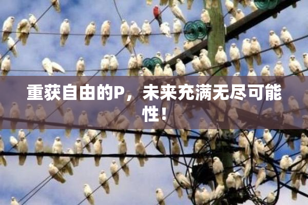 重获自由的P，未来充满无尽可能性！