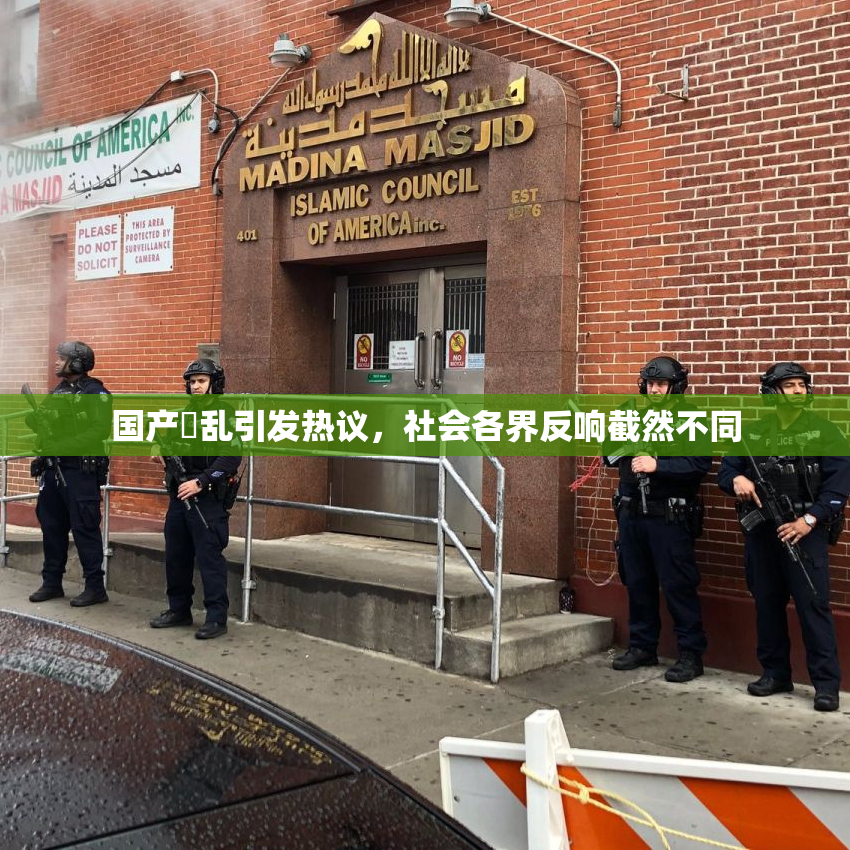 国产婬乱引发热议，社会各界反响截然不同