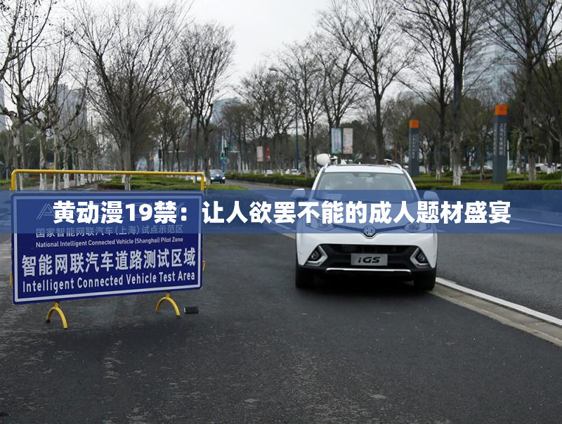 黄动漫19禁：让人欲罢不能的成人题材盛宴