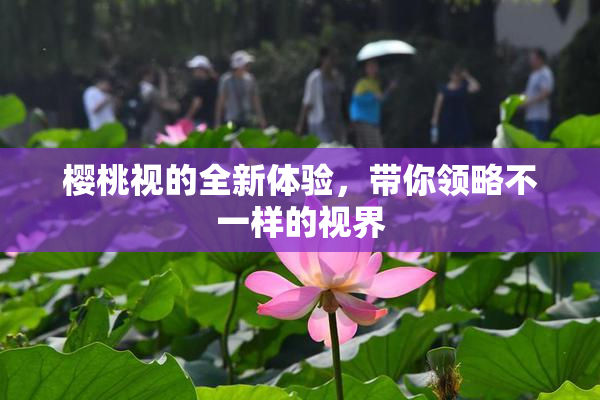 樱桃视的全新体验，带你领略不一样的视界