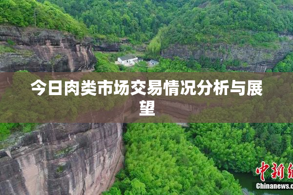 今日肉类市场交易情况分析与展望