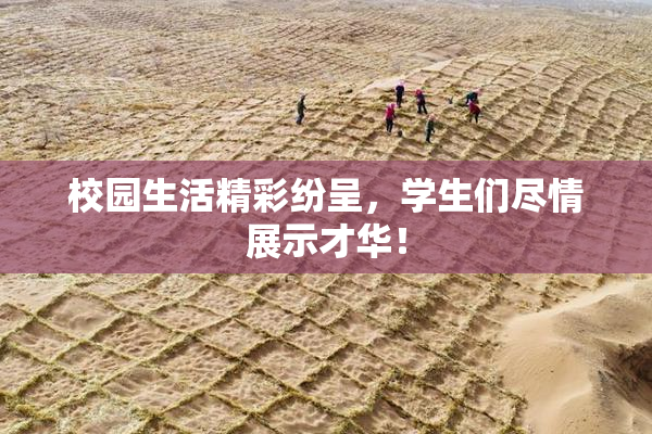 校园生活精彩纷呈，学生们尽情展示才华！