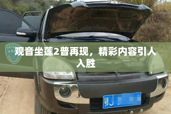 观音坐莲2普再现，精彩内容引人入胜