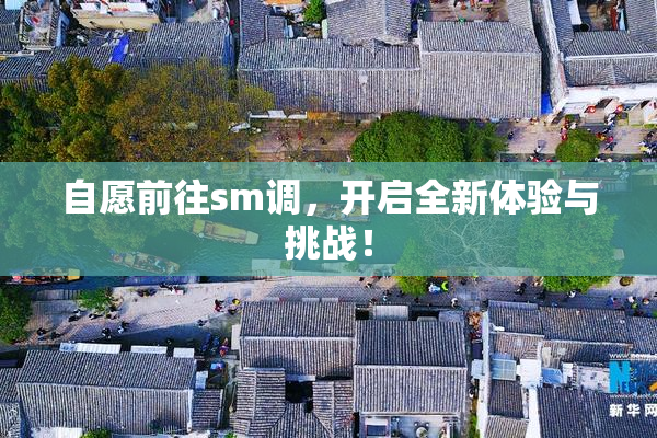 自愿前往sm调，开启全新体验与挑战！