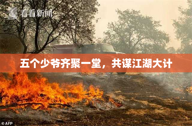 五个少爷齐聚一堂，共谋江湖大计