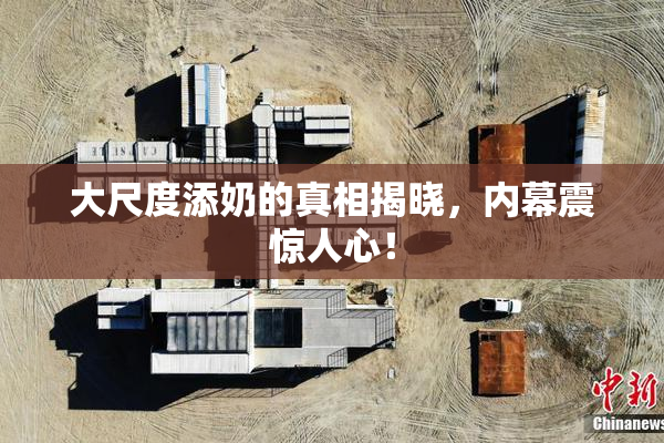 大尺度添奶的真相揭晓，内幕震惊人心！
