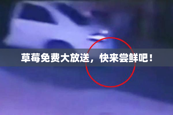 草莓免费大放送，快来尝鲜吧！