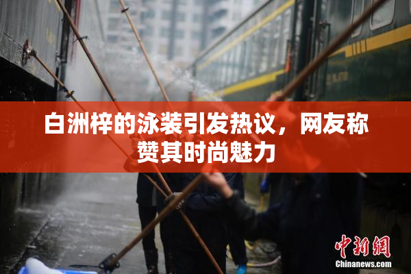 白洲梓的泳装引发热议，网友称赞其时尚魅力