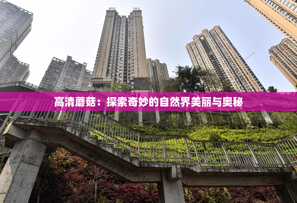 高清蘑菇：探索奇妙的自然界美丽与奥秘