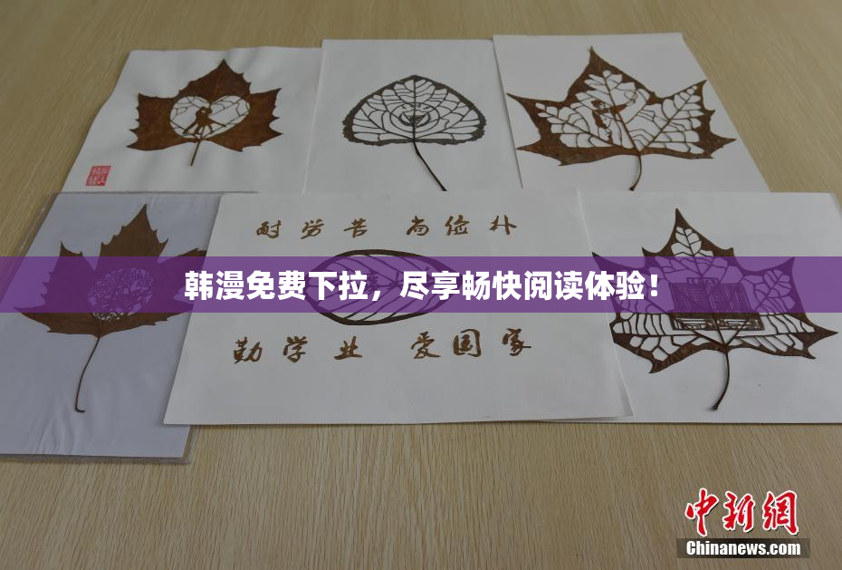 韩漫免费下拉，尽享畅快阅读体验！