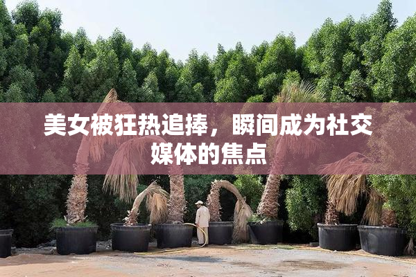 美女被狂热追捧，瞬间成为社交媒体的焦点