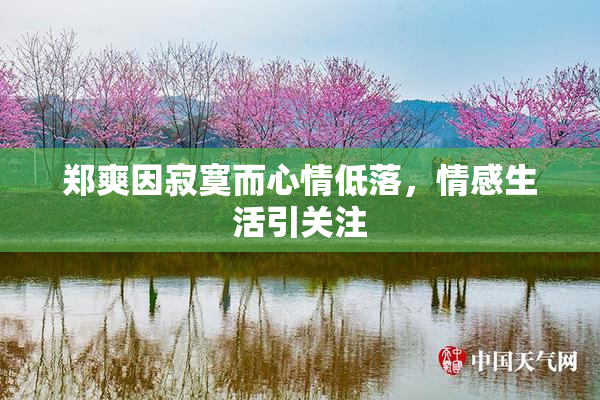郑爽因寂寞而心情低落，情感生活引关注