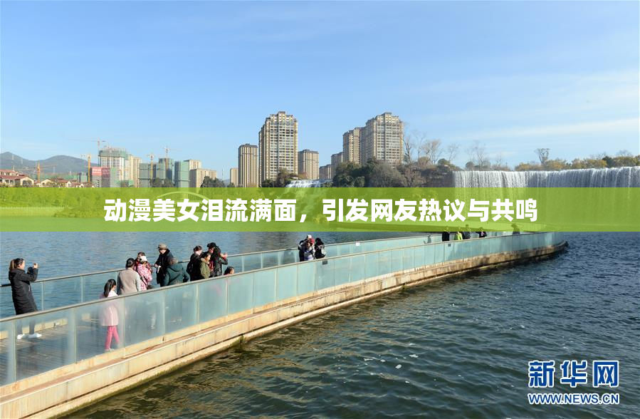 动漫美女泪流满面，引发网友热议与共鸣