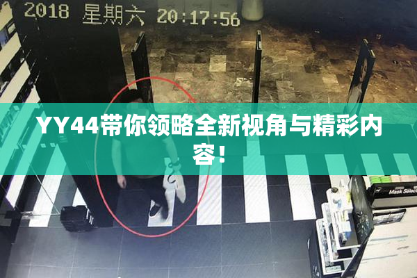 YY44带你领略全新视角与精彩内容！