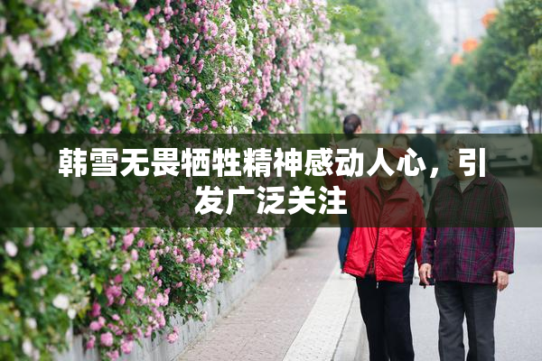 韩雪无畏牺牲精神感动人心，引发广泛关注