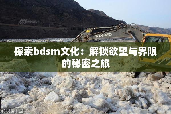探索bdsm文化：解锁欲望与界限的秘密之旅