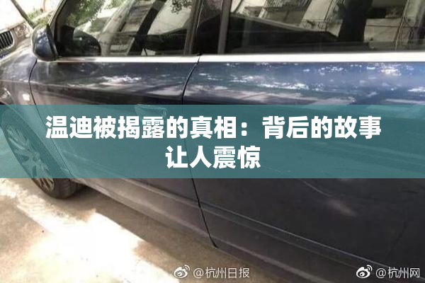 温迪被揭露的真相：背后的故事让人震惊