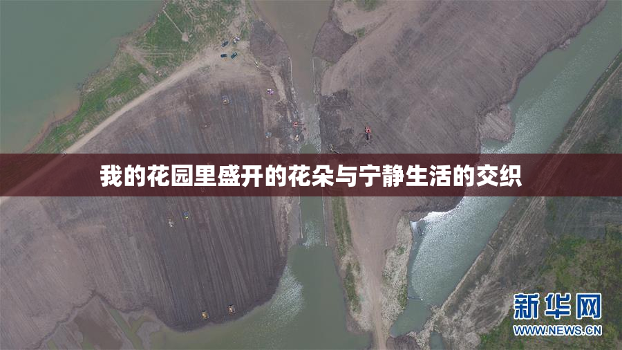我的花园里盛开的花朵与宁静生活的交织