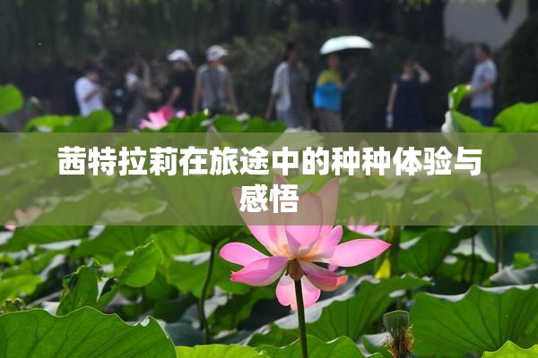茜特拉莉在旅途中的种种体验与感悟