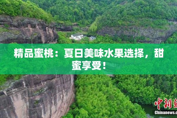 精品蜜桃：夏日美味水果选择，甜蜜享受！