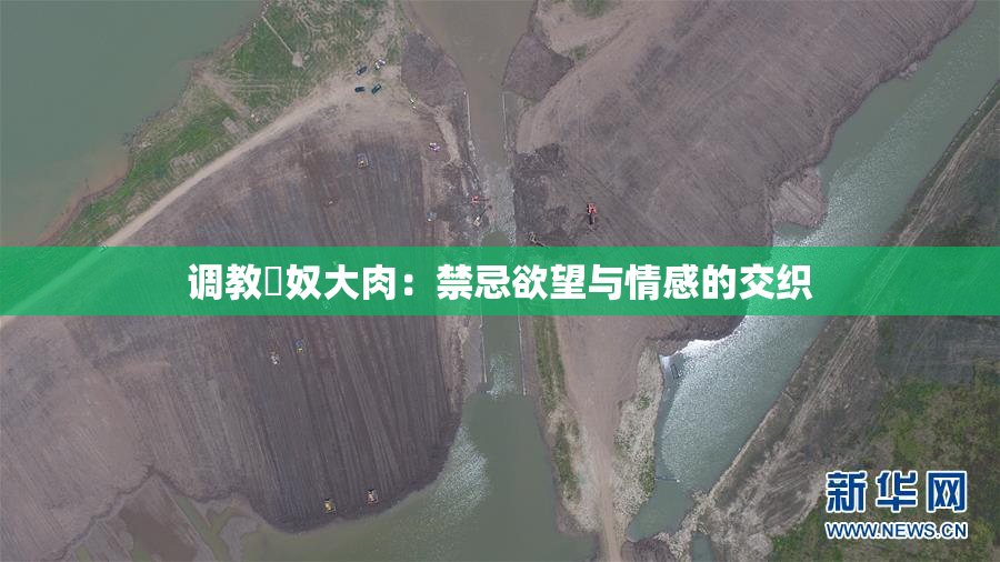 调教婬奴大肉：禁忌欲望与情感的交织
