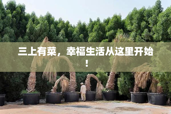 三上有菜，幸福生活从这里开始！