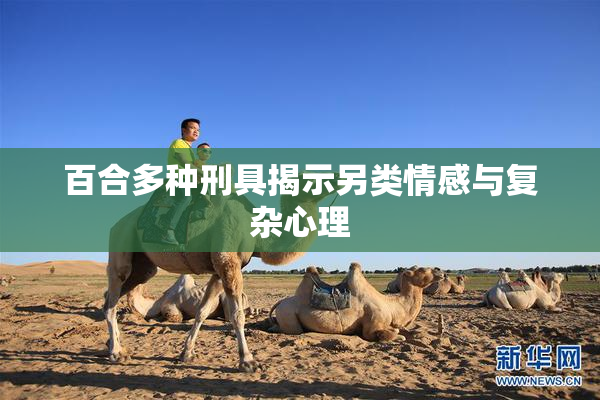 百合多种刑具揭示另类情感与复杂心理