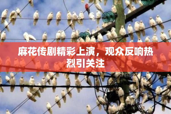 麻花传剧精彩上演，观众反响热烈引关注