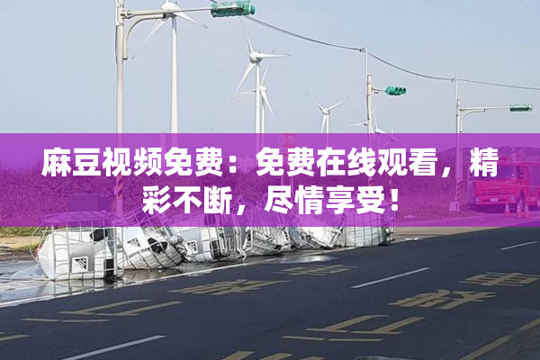 麻豆视频免费：免费在线观看，精彩不断，尽情享受！