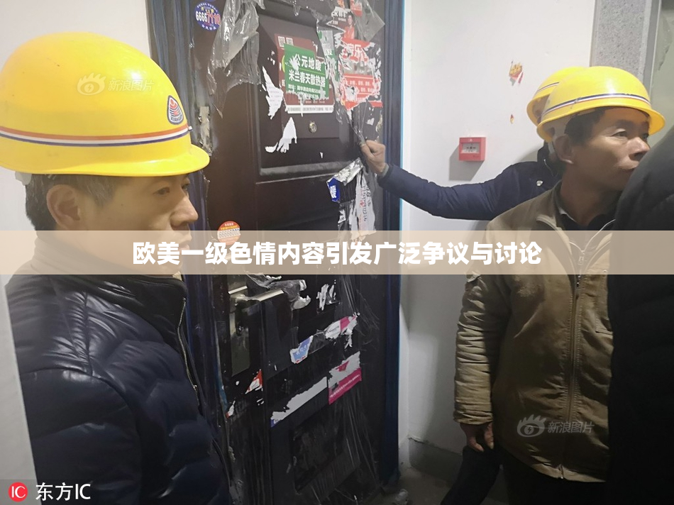 欧美一级色情内容引发广泛争议与讨论