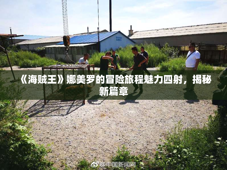 《海贼王》娜美罗的冒险旅程魅力四射，揭秘新篇章