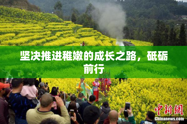 坚决推进稚嫩的成长之路，砥砺前行