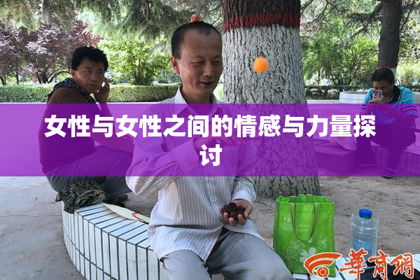 女性与女性之间的情感与力量探讨